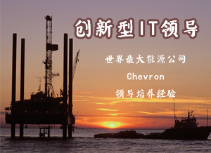 创新型IT领导