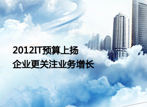 2012 IT预算上扬 企业更关注业务增长